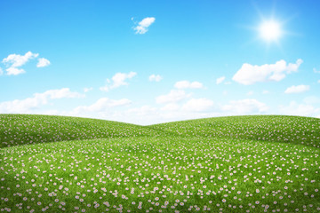 Green field and blue sky