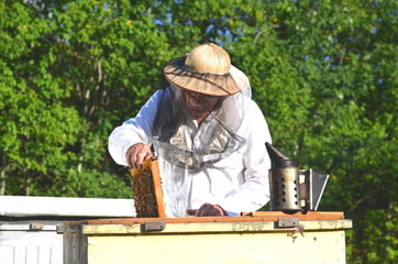 doświadczony pszczelarz pracujący w pasiece  