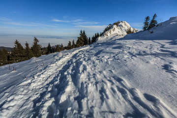 Postavaru Mountains in winter, Romania