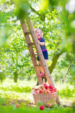 Happy little girl in an apple garden