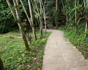 Garden stone path