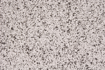 Gray coat with black spots closeup