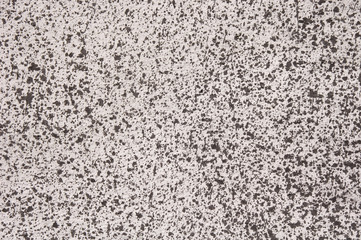 Gray coat with black spots closeup