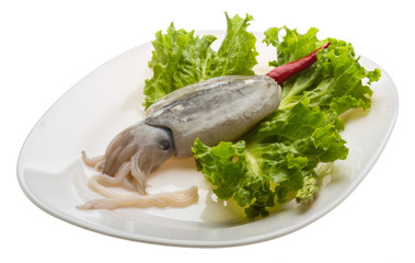 Raw cuttlefish