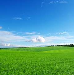 green field