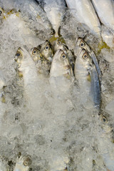 fresh fish on ice at the market in Thailand