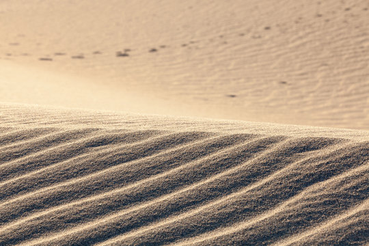 Dunes patterns and footsteps.Death Valley,California