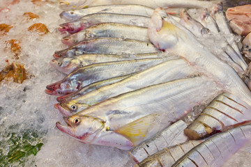 fresh fish on ice at the market in Thailand