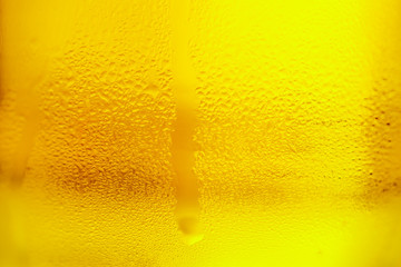 glass of cold beer