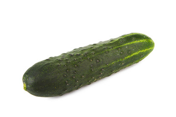 Cucumber