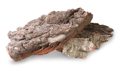 Naklejka premium Pieces Of Dry Bark Of Birch And Oak