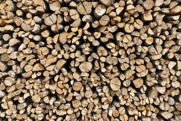 holzstämme gespaltet, schnittholz, spaltholz