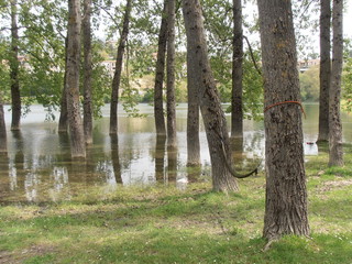 Lago del Turano in primavera