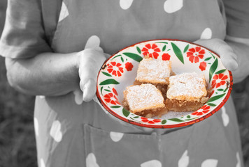 apple pie on the plate