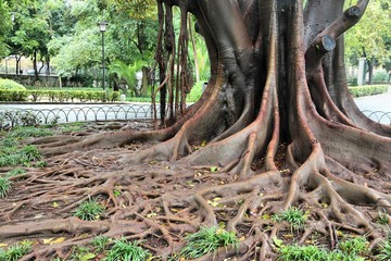 Park in Seville, Spain