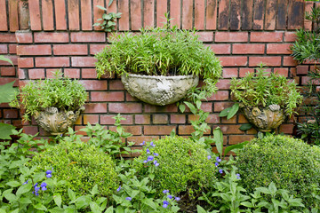 Plants on a red brick wall