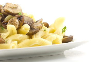 Pasta Dish Gigli Con Funghi