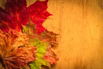 Autumn leaves on wooden background