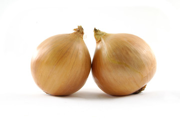 onions isolated on the white