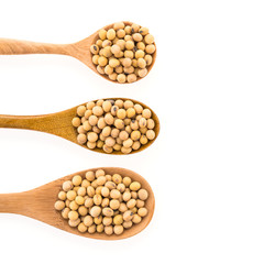 Soybean isolated on white background