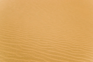 Fototapeta na wymiar sand dune landscape Death Valley National Park
