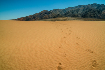 sand dune landscape Death Valley National Park
