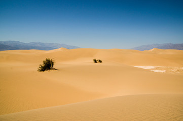 sand dune landscape Death Valley National Park