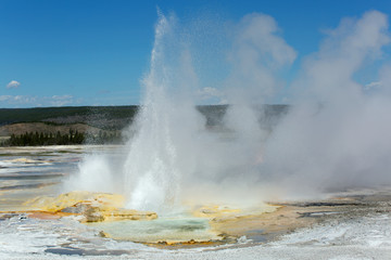 erupting geyser in Yellowstone