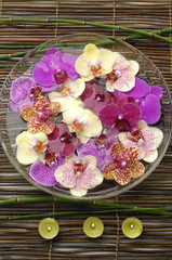 spa concept and orchid in a bowl with candles
