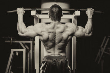Young Male Doing Back Exercises In The Gym