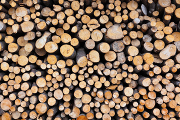 Firewood logs wood background