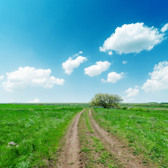 Fototapeta na wymiar dirty road in green fields and blue sky with clouds
