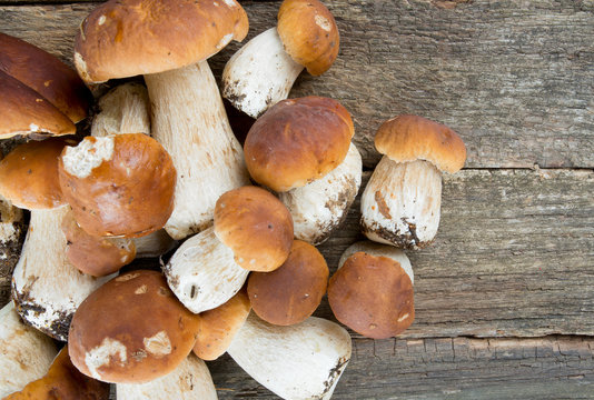 boletus mushrooms on wooden surface
