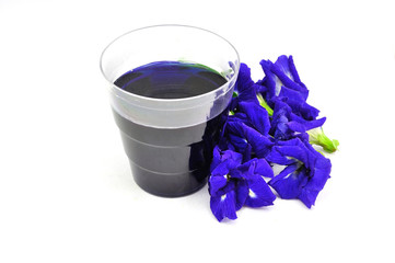 Butterfly Pea Flower