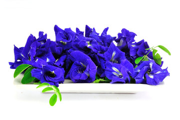 Butterfly Pea Flower