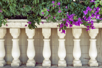 pillars fence