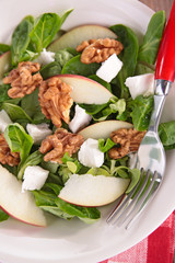 salad with walnut and cheese
