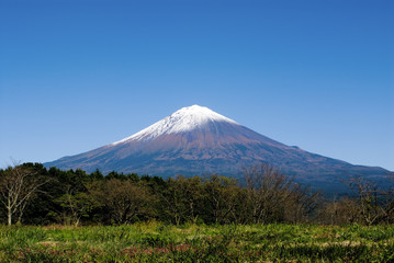 Fototapeta premium 富士山 秋