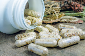 Alternative traditional chinese herbal medicine on capsule