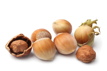 Hazelnuts