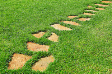 Stone path on the green grass.