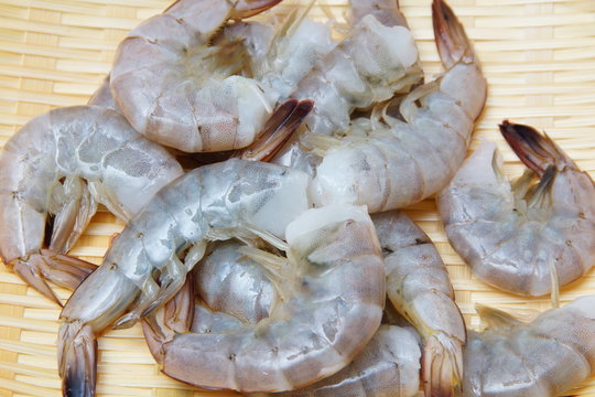 海老食材