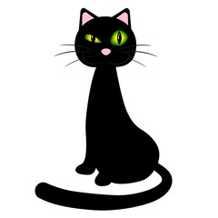 Black cat