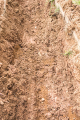soil hole