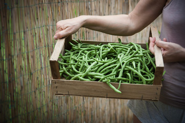 Person brings box of green beans