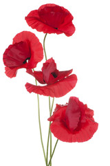 Fototapeta premium MAK