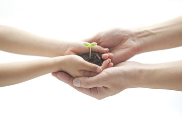 双葉を持つ親子の手元