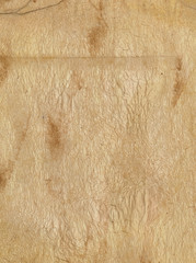 ancient grunge  paper page sheet  background