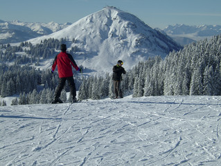 hohe salve 1501