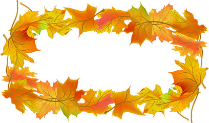 orange autumn maple leaves frame isolated on white